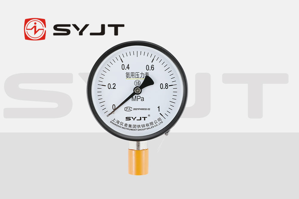 syjt氨用壓力表1.jpg